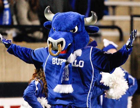 The UC Buffalo Mascot: Representing Tradition and History